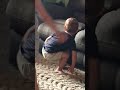 Mr Squishy Pants Poop Hide Dadlife Momslife Kids