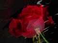 LeAnn Rimes - The Rose 