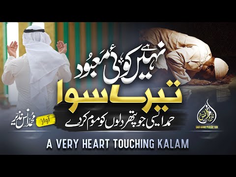 Muhammad Anas Nazeer and Anas Nazeer Pashto