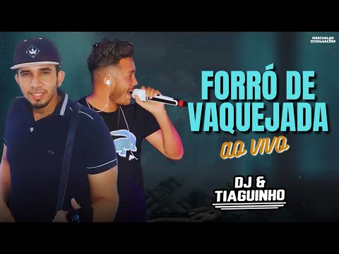 DJ E TIAGUINHO - FORRÓ DE VAQUEJADA ( AO VIVO EM PILÃO ARCADO-BA 2024 )