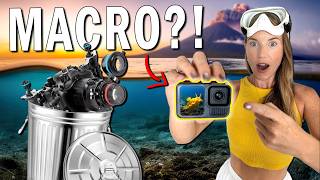 Action Camera MACRO?! Film Tiny Creatures WITHOUT a Huge Camera Rig | Gear, Settings & Tips