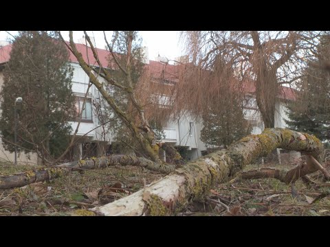 KanizsaTV Híradó - Nyolc helyszínre riasztották a tűzoltókat a szélvihar miatt Nagykanizsán