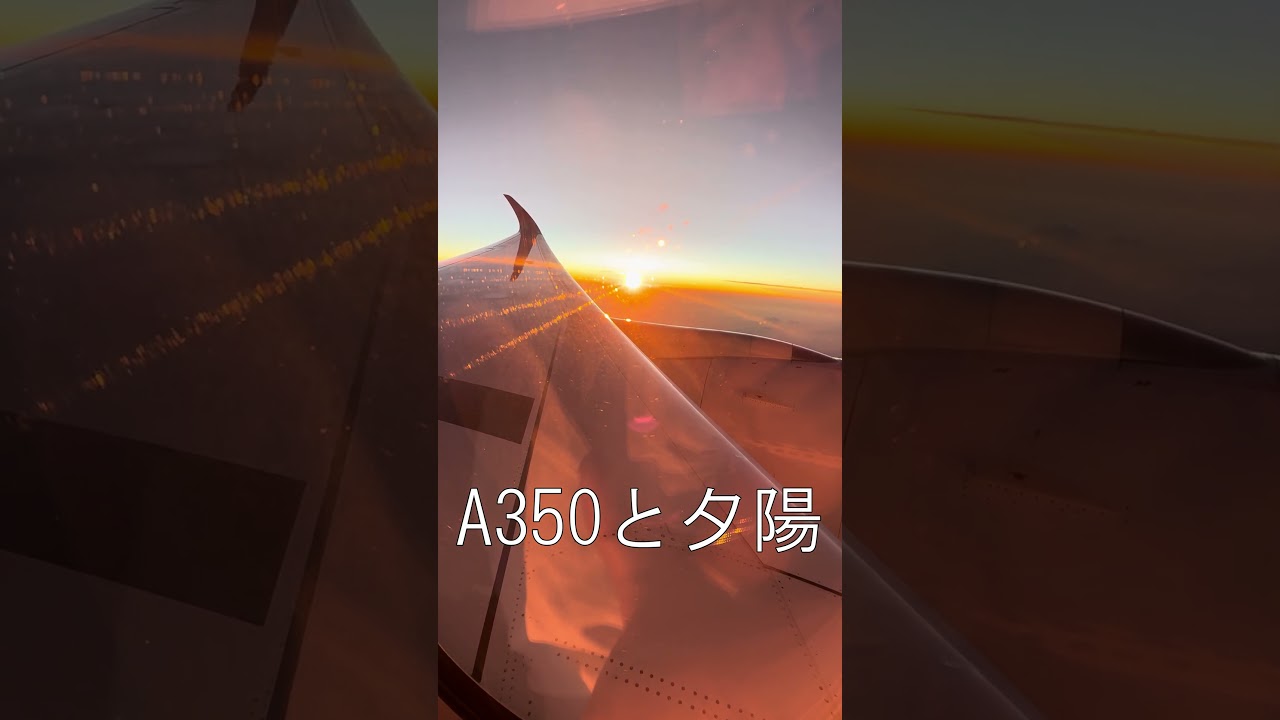 JAL/A350と夕陽