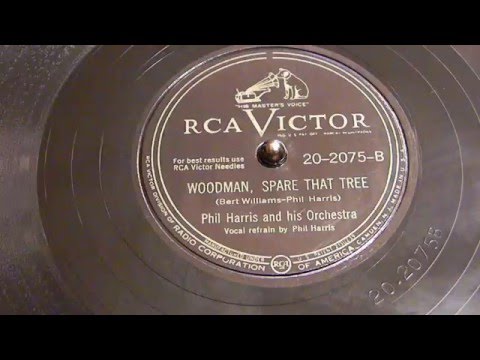 Woodman, Spare That Tree