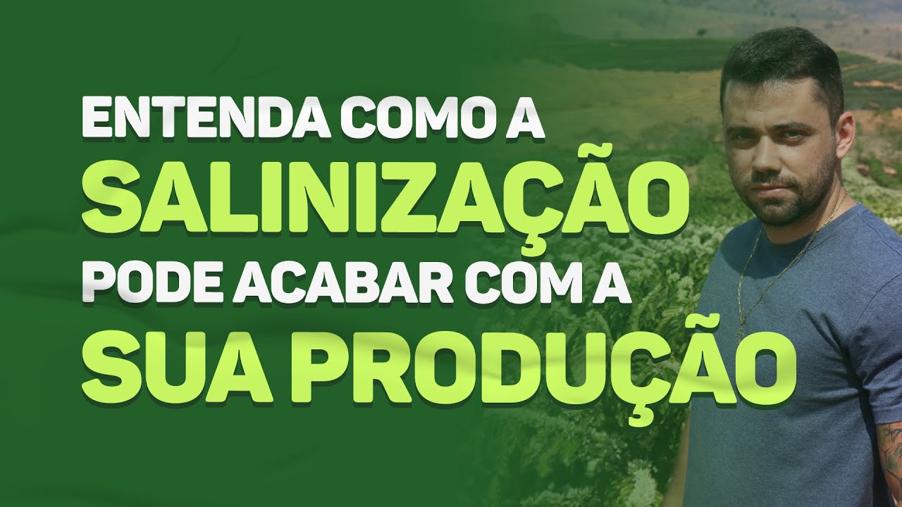 Entenda como a SALINIZAÇÃO do solo pode ACABAR com sua PRODUÇÃO