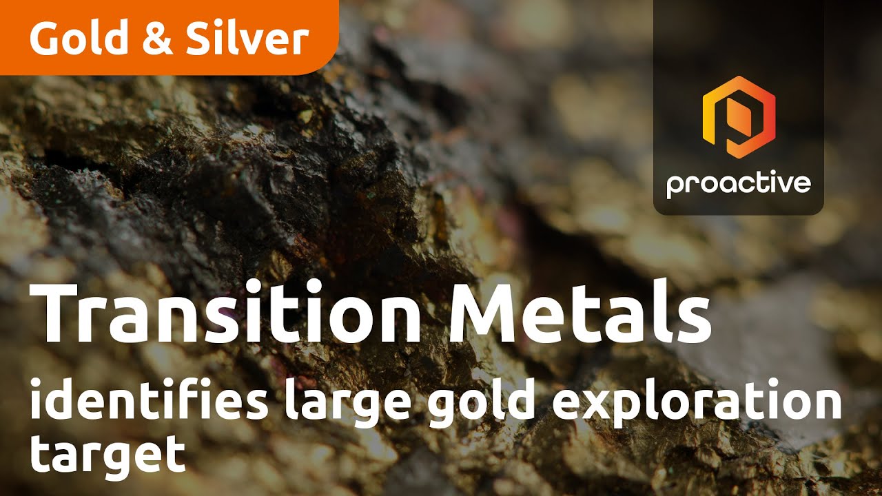 Transition Metals work at Jolly Gold Property in Ontario identifies large gold exploration target
