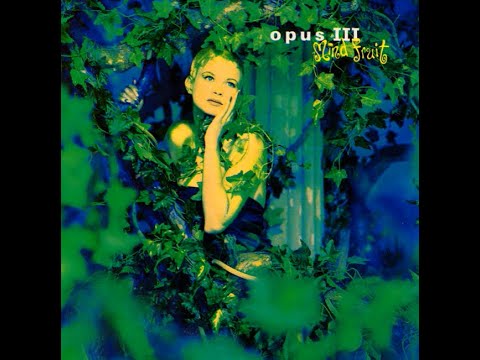 Opus III...It's A Fine Day...Extended Mix...