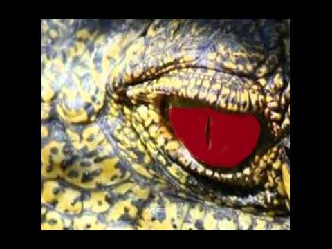 Test Drive- Mentalizado ft LAKostel