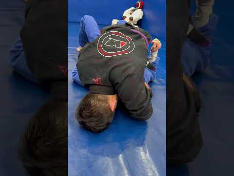 Collar choke from mount #bjjshorts #moveoftheday #bjjtechniques #realizebjjlife #bjjlifestyle #bjj