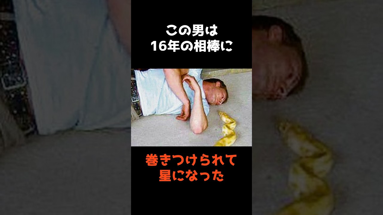 【16年付き添ってきた相棒によって星になった男】 #shorts #事件 #雑学