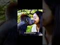 Baby Gorilla Knows How To Kiss Monkey Kiss Smile
