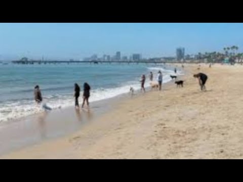 Dubai Beach walk//Jumeirah Beach ⛱️ Dubai//Dubai Beach life