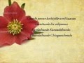 Thumbi Penne Lyrics - Bangalore Days 