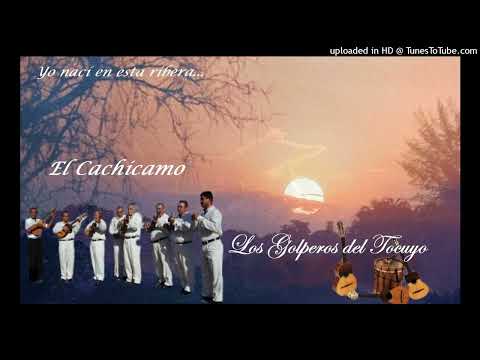 El Cachicamo - Los Golperos del Tocuyo.