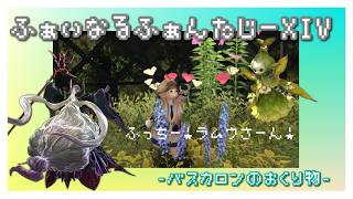【ゲーム配信】FINAL FANTASY XIV【FF14】#ff14