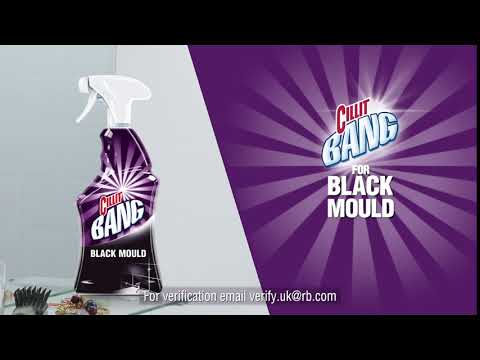 Cillit Bang For Black Mould