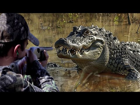Hunting the African Nile crocodile with snipers, Part 4