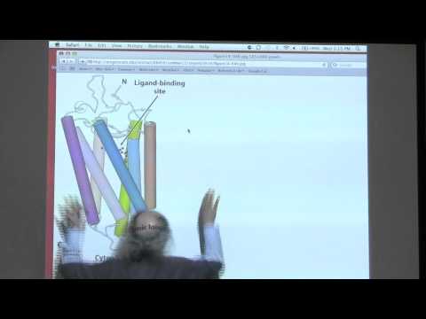 Kevin Ahern's BB 450/550 Classroom #1 for July 6 - Signaling I