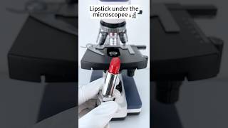 Download lagu Lipstick under the microscope A Hidden World Under the Microscope – Bacteria Close-Up! mp3