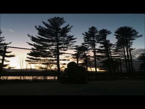 whxami - Paths (prod. xerogi)