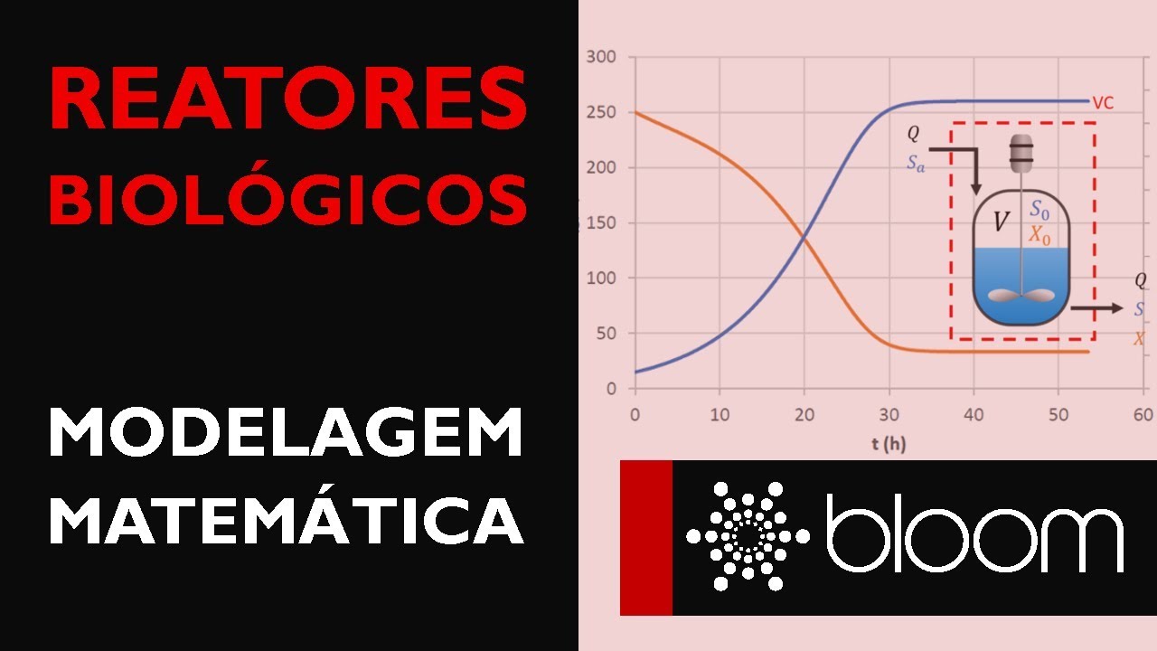 Biorreatores: modelagem de um reator de mistura contínua