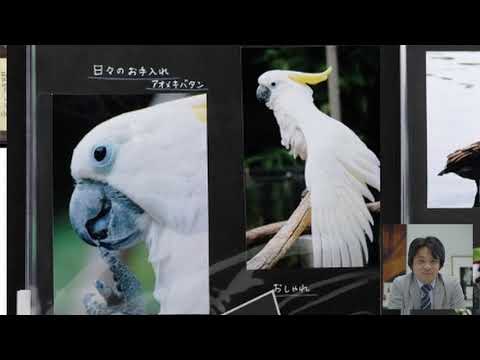写真学科 体験授業1 事例紹介編
