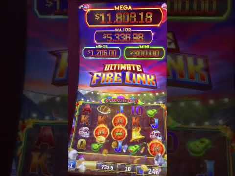 #FilmoraGo -2022-03-14 19:50:05