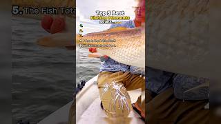 Download lagu Top 5 Best Fishing Moments #best #fishing #bestmoments mp3