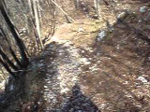 Sentiero 717 - Villenueve Monte Cuarnan - Gemona del Friuli (Ud) - Franz e Massi