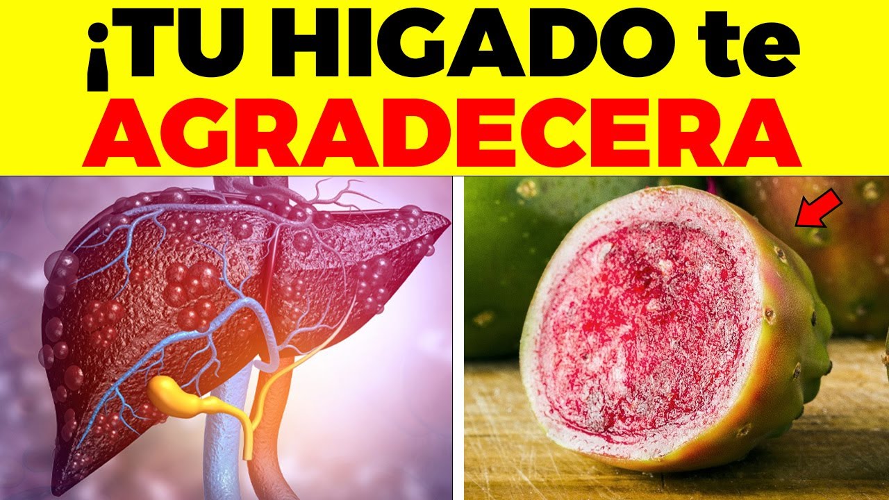 Come estos 9 ALIMENTOS para LIMPIAR tu HÍGADO