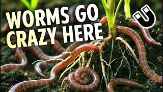 Magnetic Soil Secret That Skyrockets Root Growth &amp; Earthworm Activity