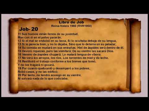 La Biblia   Libro de Job   Job  20  Reina Valera 1960 RVR1960