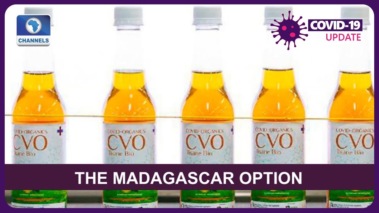 There Is Nothing Wrong In Trying The Madagascar Medicine Says Pharmacist