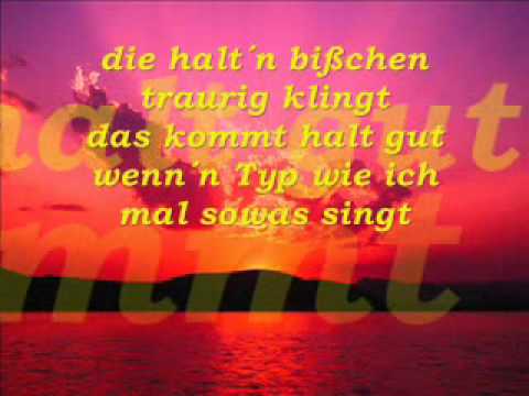 Dieses Lied Ist Nicht Fuer Dich - Matthias Reim