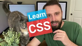 מדריך CSS: סלקטורים וסגנונות בסיסיים
