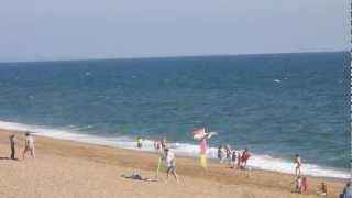 Seagulls... Sea Sun Sand Surf ! Birds at Newgale Beach Pembrokeshire Wales UK British Britain