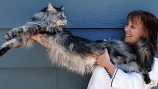 10 Pets You Won't Believe Actually Exist