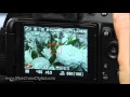 Blue Crane  Video #1