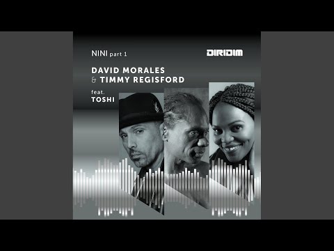 Nini, Pt. 1 (Timmy Regisford Vocal Mix)