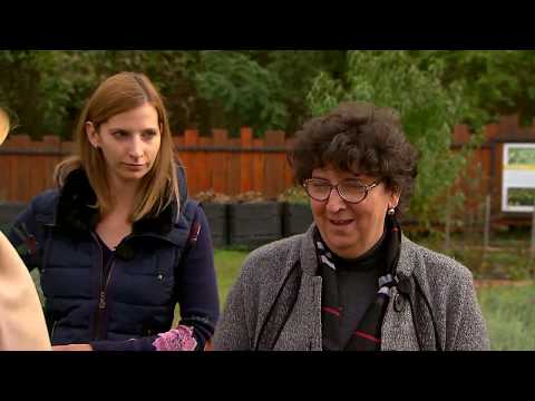 Gasztroangyal 37. rész - Sárvár (2017)