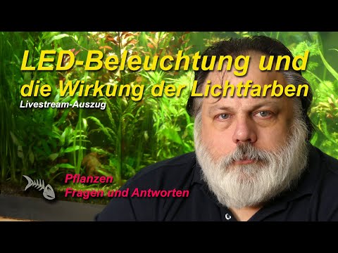 LED-Beleuchtung und die Wirkung der verschiedenen Spektren auf die Aquarienpflanzen