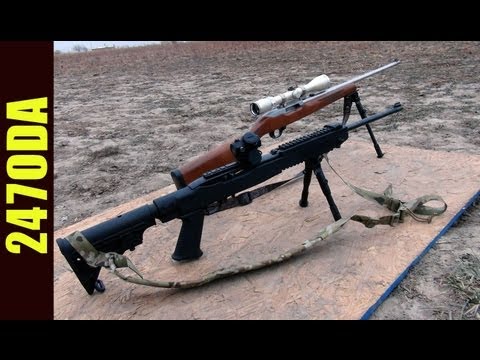 AWB Gun Ban: 10/22? Modern Sporting Rifle vs Assault Rifle - 247 OutDoor Addiction