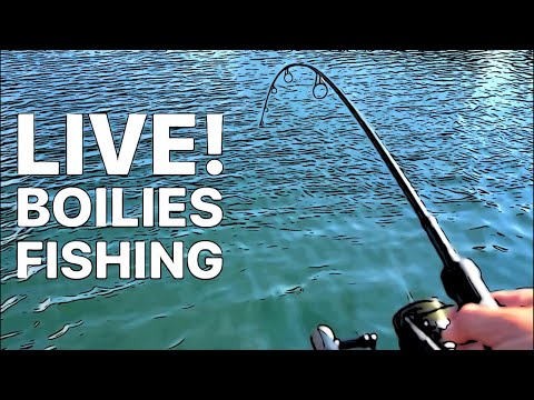 LIVE! BOILIES CARPFISHING -  Nash Scope Black OPS 6ft 3lb - BOILIES DNES ZACHUTNALO VE 24TÉ MINUTĚ🍀