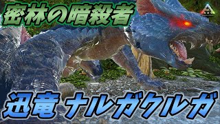 闇夜に紛れて忍び寄る迅速の暗殺者"迅竜 ナルガクルガ" [ARK MOD実況]
