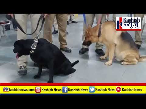 जमुई: नक्सलियों ने चौरा स्टेशन को उड़ाने की दी धमकी, डॉग स्क्वॉड के साथ मौके पर पहुंची पुलिस