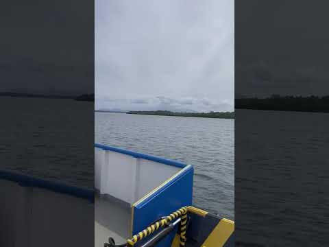 Cananéia, São Paulo. Travessia de balsa do porto cubatão no continente para ilha de Cananéia.