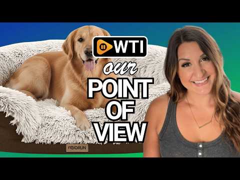 Miorun Fluffy Orthopedic Dog Beds Large Sized Dog - WTI product video review