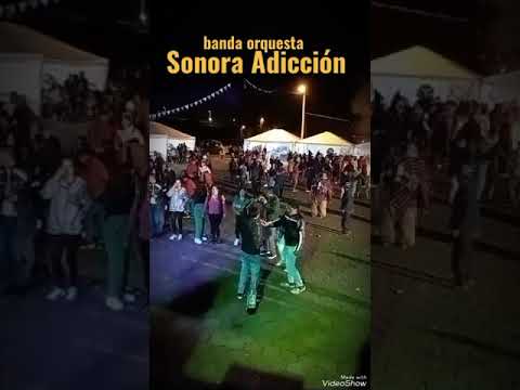 Sonora adicción Salcedo-Cotopaxi-Ecuador cel:0998698887-0987464178