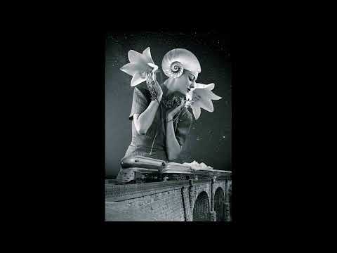 Beat Boom Bap Instrumental | "Tardes Oscuras" | Rap Boom Bap Uso Libre Freestyle - Instrumental Beat