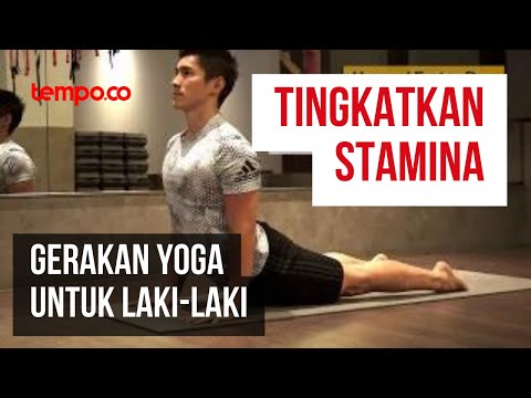 Program peningkatan potensi Penis biaya pembesaran